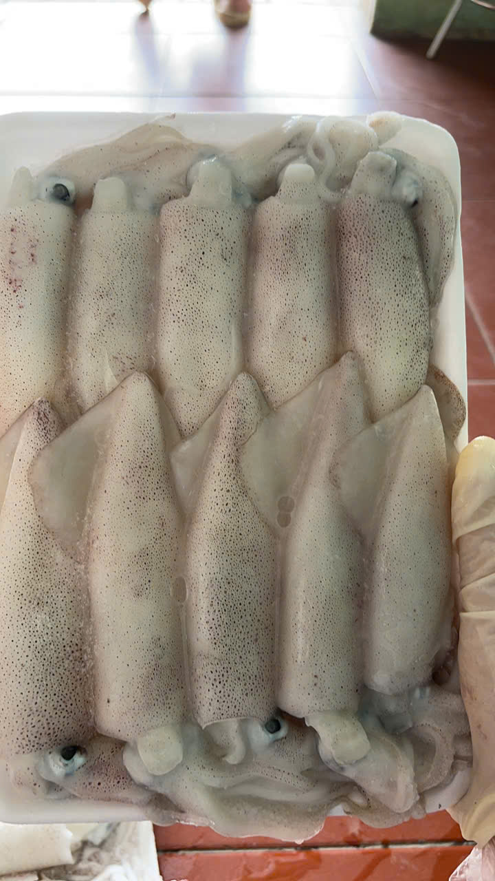 Mực nháy Diễn Châu