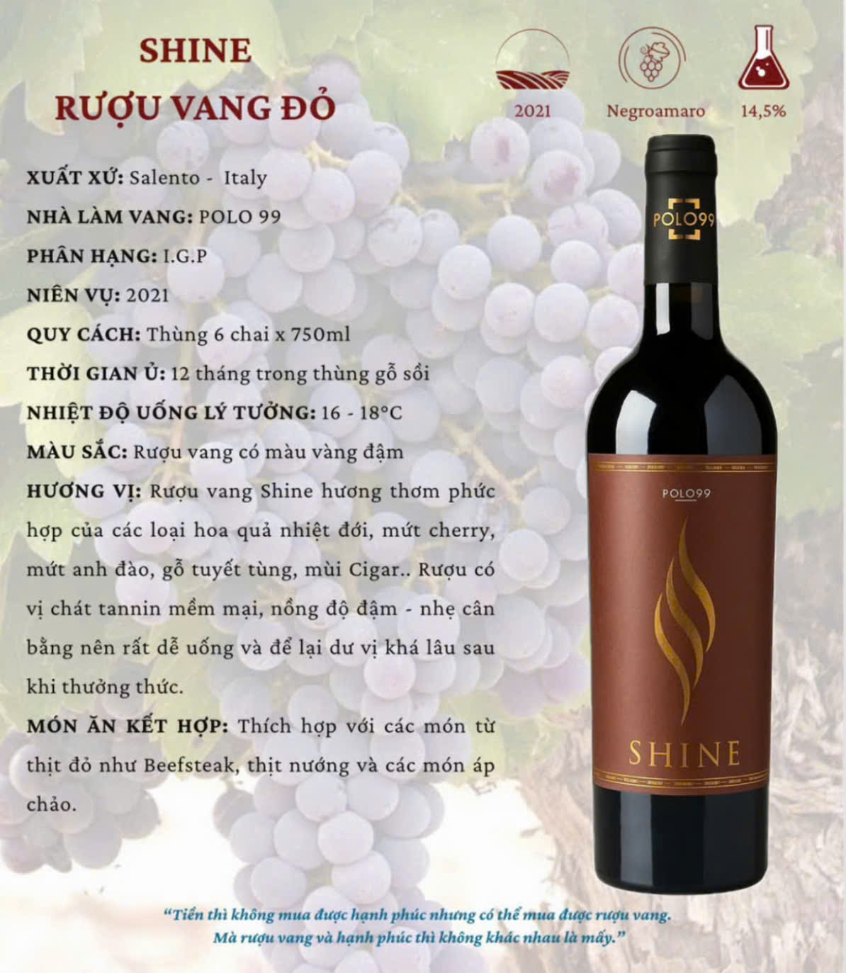 Rượu vang đỏ Shine Polo 99 (Ý)