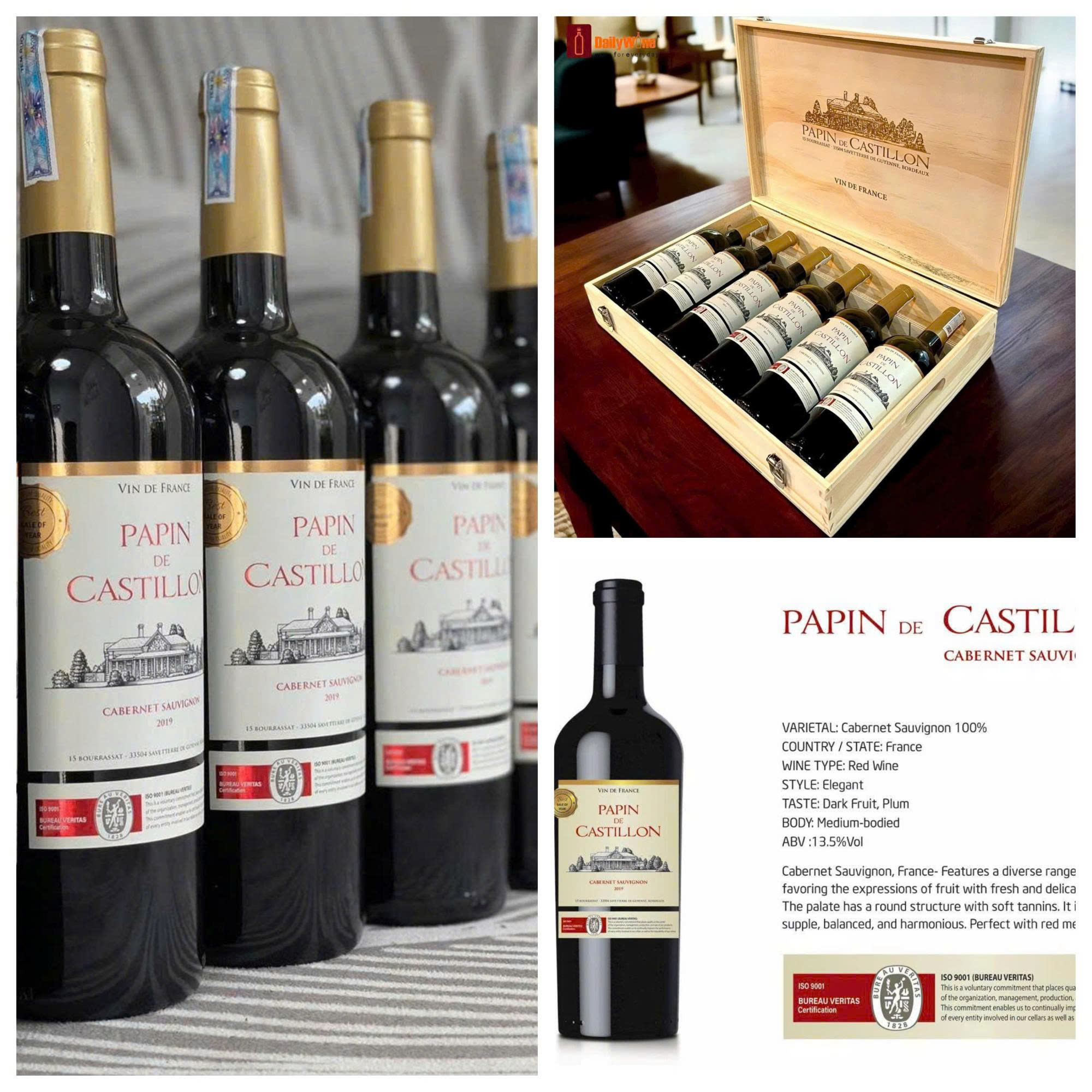 Rượu vang pháp Papin de Castillon